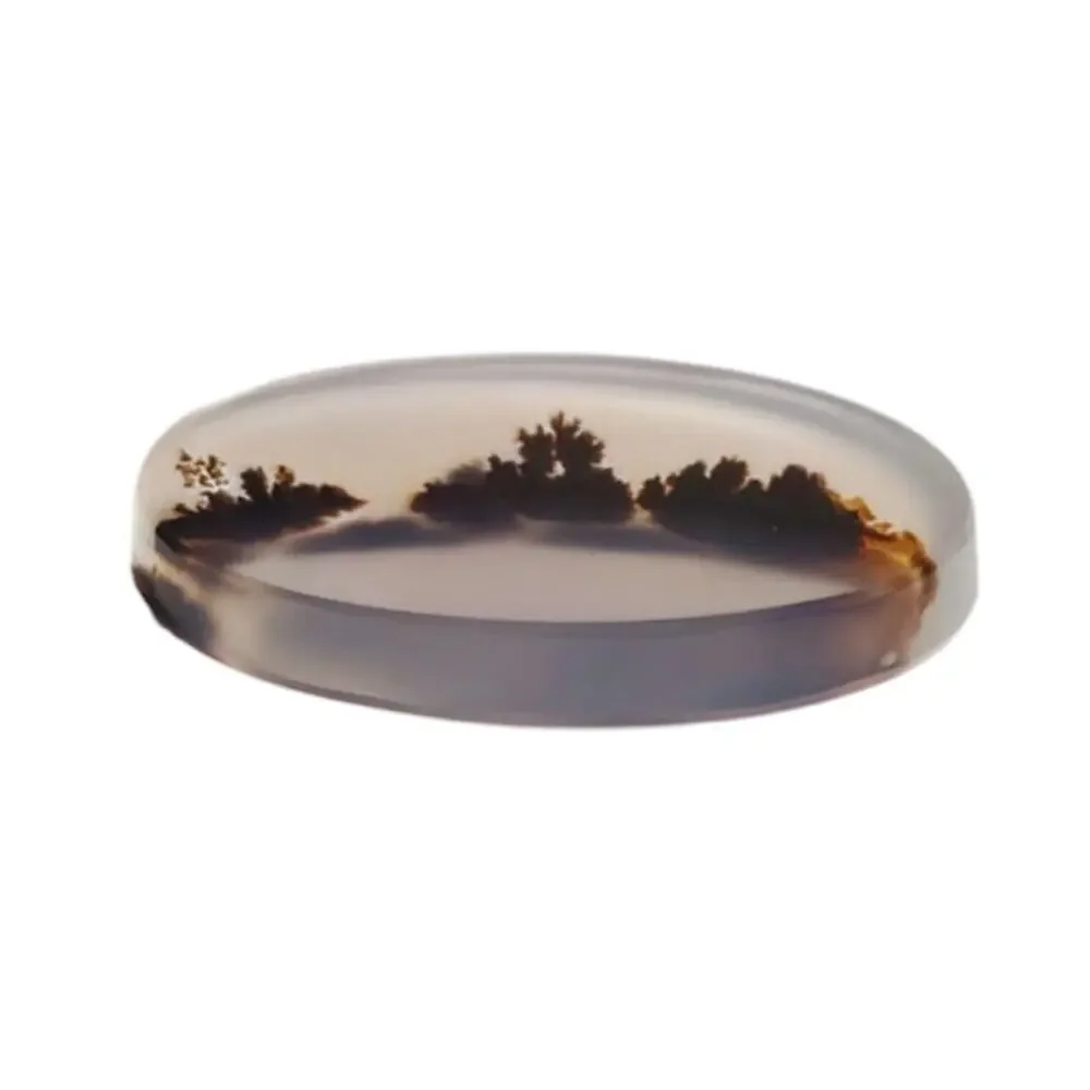 Gem Quality Dendritic Agate Cabochon 3D Tree Line Landscape Stone